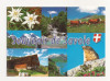 FA28-Carte Postala- FRANTA - Souvenir de Savoie, circulata, Necirculata, Fotografie