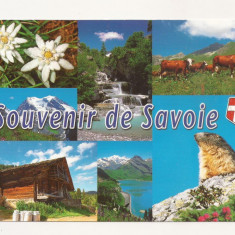 FA28-Carte Postala- FRANTA - Souvenir de Savoie, circulata