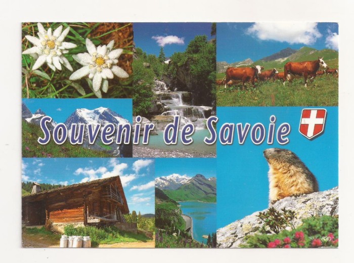 FA28-Carte Postala- FRANTA - Souvenir de Savoie, circulata