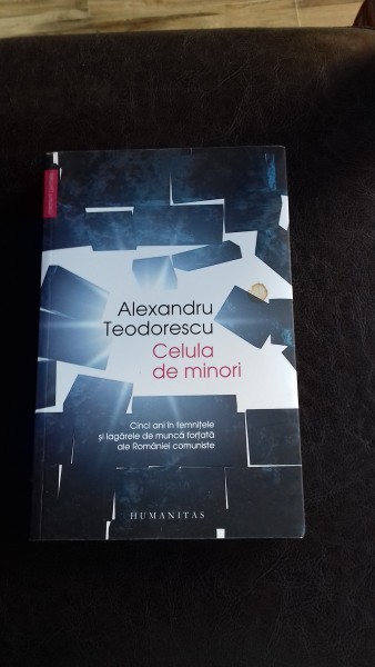 CELULA DE MINORI - ALEXANDRU TEODORESCU