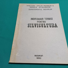 ÎNDRUMĂRI TEHNICE PENTRU SILVICULTURĂ / DEPARTAMENTUL PĂDURILOR/1990 *