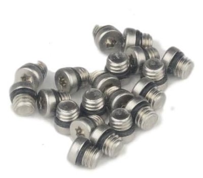 Reservoir Bleed Screw/O-Ring Stainless - Silver Ultimate FactoryBikes foto