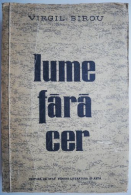 Lume fara cer &amp;ndash; Virgil Birou foto