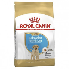 Royal Canin Labrador Retriever Junior, 3 kg foto