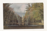 FA48-Carte Postala- RUSSIA- Leningrad, palatul Petrodvorets, fantana Adam, Necirculata, Fotografie