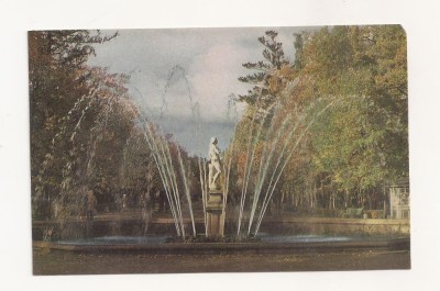 FA48-Carte Postala- RUSSIA- Leningrad, palatul Petrodvorets, fantana Adam foto