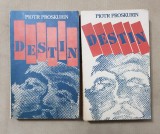 Destin - Piotr Proskurin (2 vol.)