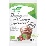 Budinca de Cacao cu Merisoare fara Zahar Ecologica/Bio 40g