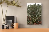 Tablou Canvas, "Arborele cu ramuri misterioase și dense", Conifer, Unic, Dens, Verde, &Icirc;ntortocheat, Exotic, Ramuri, Texturat, 26 x 39 cm, CMCLASS