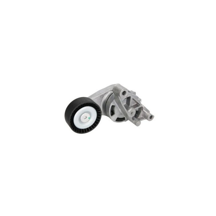 Intinzator curea SEAT LEON 1P1 DAYCO APV2422