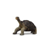 Broasca Testoasa din Pinta Island M - Animal figurina, Collecta