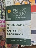 Polinoame și ecuații algebrice vintage