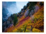 Tablou Canvas, "Toamna &icirc;n munții ceții colorate", Munte, Culori, Toamnă, Copaci, Pădure, Ceață, Roci, Peisaj, Contrast, Natură, 39 x 26 cm, CMCLASS