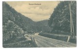 3571 - BOCSA MONTANA, Caras-Severin, Cart, Romania - old postcard - unused
