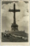 CP1809N Poiana Țapului [Crucea Eroilor de pe Muntele Caraiman], carte poștală, 1939