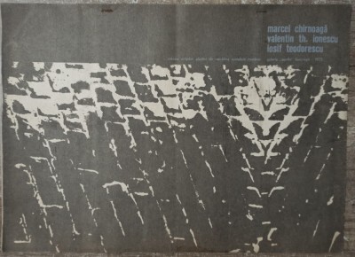 Catalog expozitie Marcel Chirnoaga, Valentin Th. Ionescu, Iosif Teodorescu 1973 foto