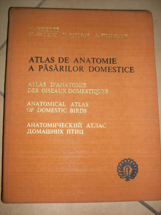 Atlas De Anatome A Pasarilor Domestice - V. Ghetie, V. Cotofan, A. Hillebrand ,549461