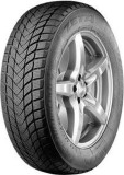 Cumpara ieftin Anvelope Pace Antarctica 5 205/55R17 95H Iarna