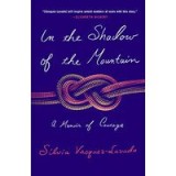 In the Shadow of the Mountain