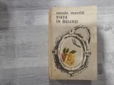 Viata in oglinzi de Sanda Movila