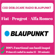 Cod deblocare radio casetofon CD auto Blaupunkt Fiat Peugeot Alfa Romeo foto