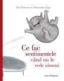 Ce fac sentimentele cand nu le vede nimeni - Tina Oziewicz, Editura frontiera