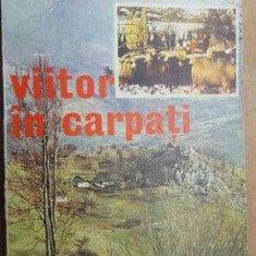 Viitor in Carpati- Radu Rey