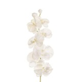 Floare Artificiala cu Tulpina Lunga Orhidee Alba 74cm