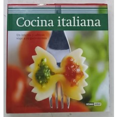 COCINA ITALIANA de CLAUDIA ADRIANA STAFFIERI , TEXT IN LIMBA SPANIOLA , 2008