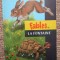 FABLES-LA FONTAINE
