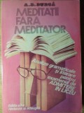 MEDITATII FARA PROFESOR. ANALIZE GRAMATICALE SI LITERARE PENTRU EXAMENUL DE ADMITERE IN LICEU-A.D. BURCA-336049