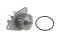 Foto  - 2