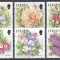 Jersey 2007 - Flori de vară, MNH
