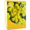 CEAI SIMINOC 40g HYPERICUM