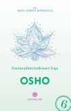 Esența științei milenare yoga - Editura Editura MIX