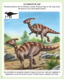 Dinozauri si preistorie in imagini | Emilie Beaumont, Aramis