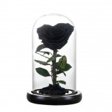 Cumpara ieftin Trandafir Criogenat inima neagra &Oslash;8cm in cupola 10x20cm