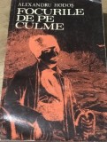 LITR5 Literatura. Focurile de pe culme - Alexandru Hodos