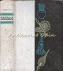 Obirsia Lucrurilor - Istoria Culturii Omenirii, Iulius Lips, 1964, Editura Stiintifica, Bucuresti, 592 Pagini