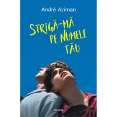Striga-ma pe numele tau, Andre Aciman