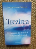 Trezirea. Elibereaza-te de iluzii, frici si conditionari - Anthony De Mello