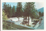 Carte Postala veche - Sinaia - Manastirea 1978 . Circulata