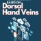 Person Authentication Based on Dorsal Hand Veins