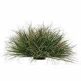 Planta artificiala tip iarba ceapa curbata, 28 cm, verde inchis