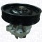 MAGNETI MARELLI 352316170321 Pompă de apă, răcire motor