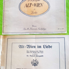 F331-Partituri pt. chitara sau lauta-cobza-Vechea Viena in cantece interbelica.