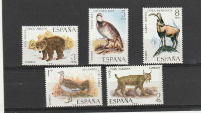 Fauna ,animale,Spania. foto
