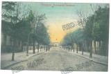 3167 - FOCSANI, Vrancea, Ave. Romania - old postcard - used - 1909