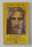 RANILE DOMNULUI de IOAN SUCIU , ANII &#039;90 ,