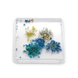 Decor pentru unghii, flori uscate D29